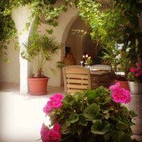 Terraza o patio