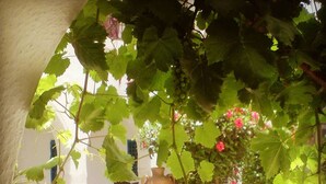 A courtyard with a pergola, potted plants, and a tiled floor. - Hotel Arisha (Houmt Souk)