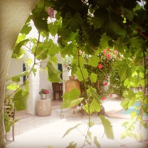 Terraza o patio