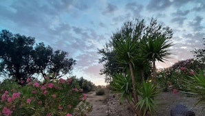 A pathway leading to a garden with pink flowers and a Buddha statue. - La Fuente Retreat (Lecrin)