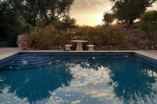 Outdoor pool, sun loungers