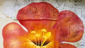 Un mural con una flor grande y texto coreano en una pared con textura.