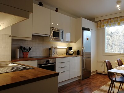 Scandinavian apartments of the sun