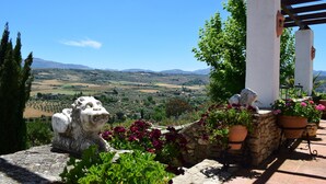 Estructura de piedra con una estatua de león, plantas en macetas y vistas a un valle.