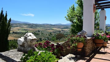 Vista desde la propiedad
