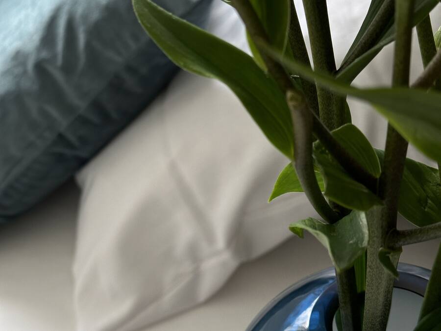 Una planta en un florero azul sobre una cama con almohadas blancas y azules.