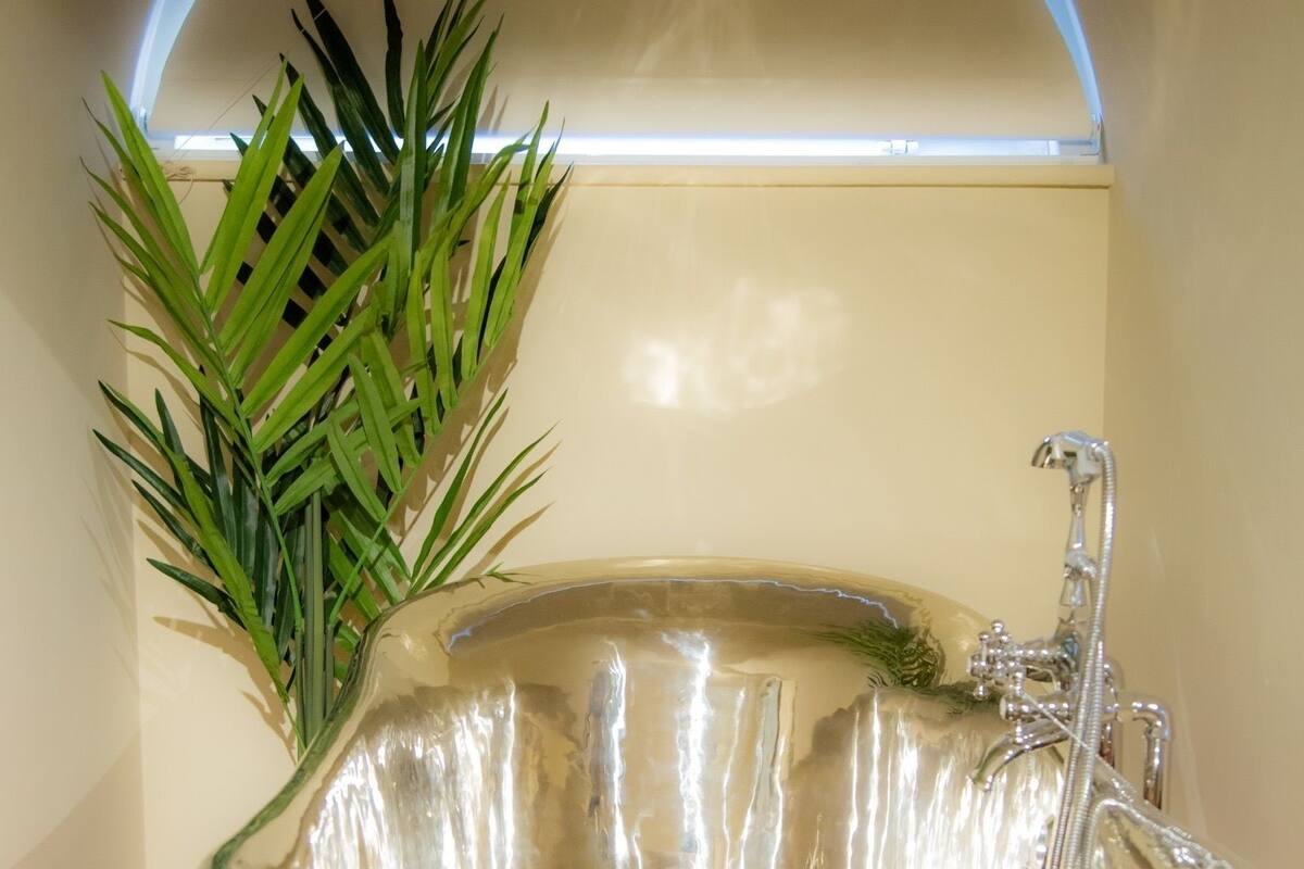 A bathroom with a glass bathtub, a modern faucet, and a potted plant.