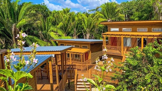 A wooden cabin complex with multiple buildings, wooden decks, and a lush tropical garden. - Richardson Serenity Villa (Roatan)