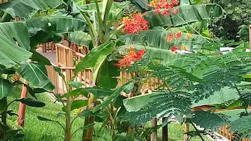 經典小屋, 1 張加大雙人床, 非吸煙房, 花園景 | 陽台景觀