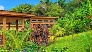 A wooden building with a covered patio, surrounded by lush greenery and tropical plants. - Richardson Serenity Villa (Roatan)