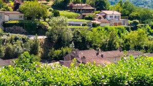 A residential area with houses, lush greenery, and a hilly backdrop.