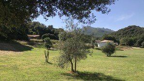 A grassy field with a few trees and a distant view of a hill with buildings. - Fully equipped studio in the heart of the vineyard (Patrimonio)