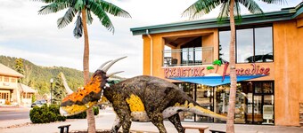 Log cabin in the heart of Woodland Park with hot tub & private sauna