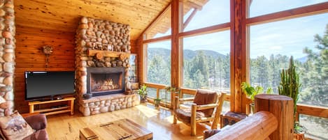 Télévision, cheminée, espaces bureaux