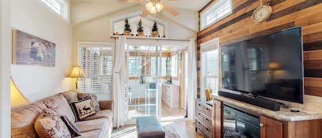 TV, fireplace, DVD player, video library