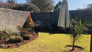 Un jardin avec une pelouse verdoyante, un petit palmier et un mur en béton.