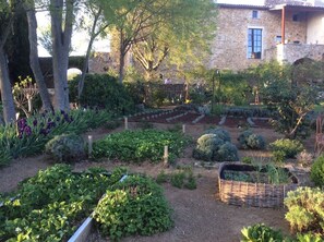 Tuin