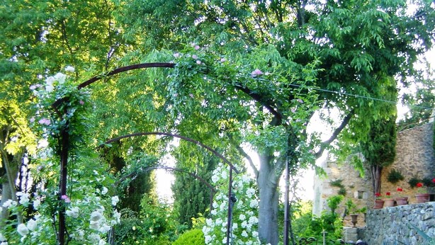 Jardín