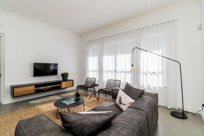 Flat-screen TV
