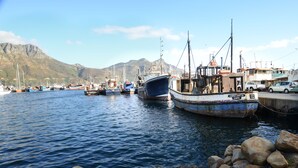 Un puerto con barcos amarrados, costa rocosa y montañas al fondo.