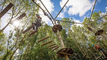 A forested area with wooden climbing structures and ropes, likely part of an adventure park or outdoor activity area.