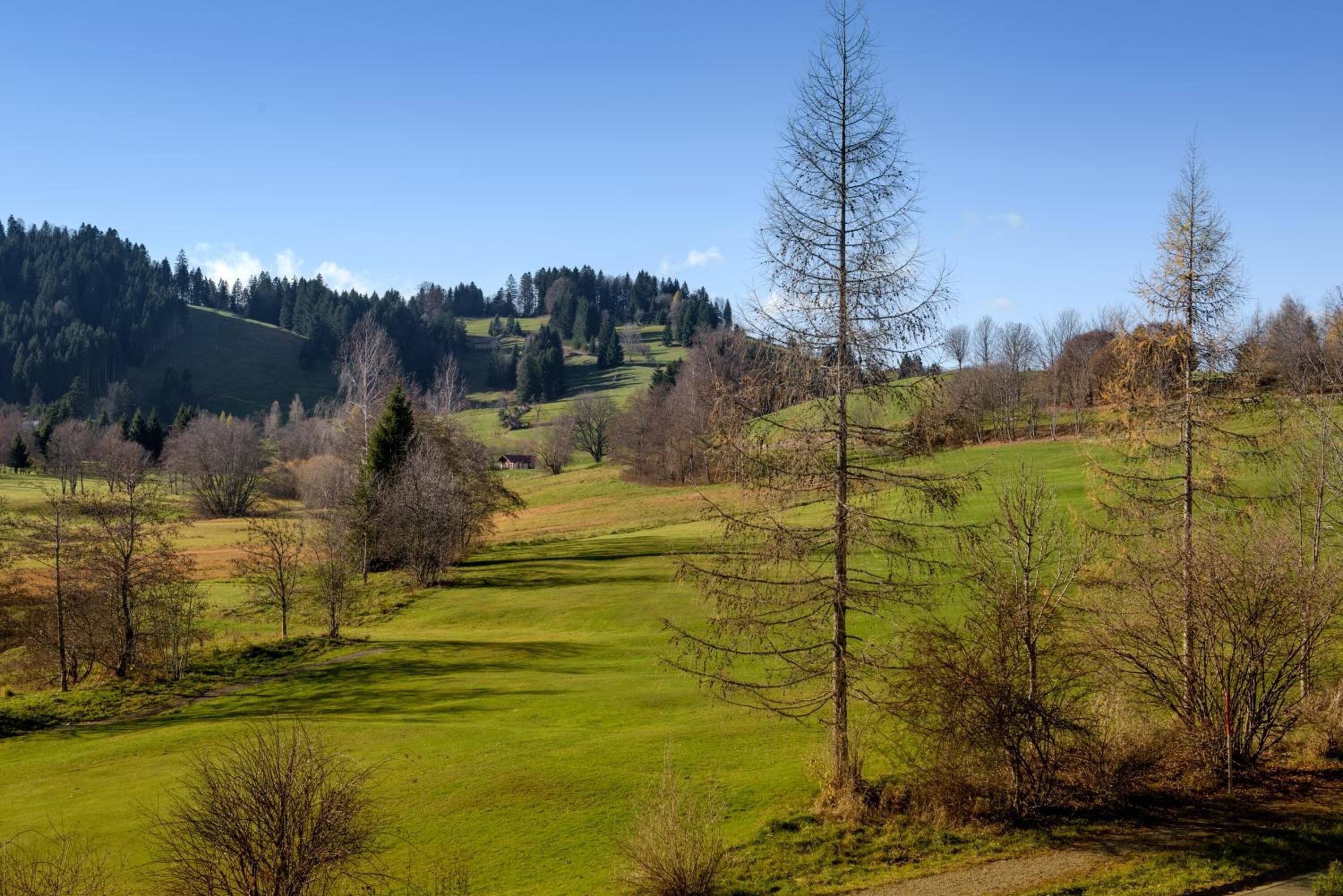 Paesaggio rurale con dolci colline, cielo sereno e pochi alberi.