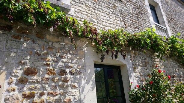 Un bâtiment en pierre avec une fenêtre et une porte, des plantes grimpantes recouvrant le mur et un pot de fleurs près de l’entrée.