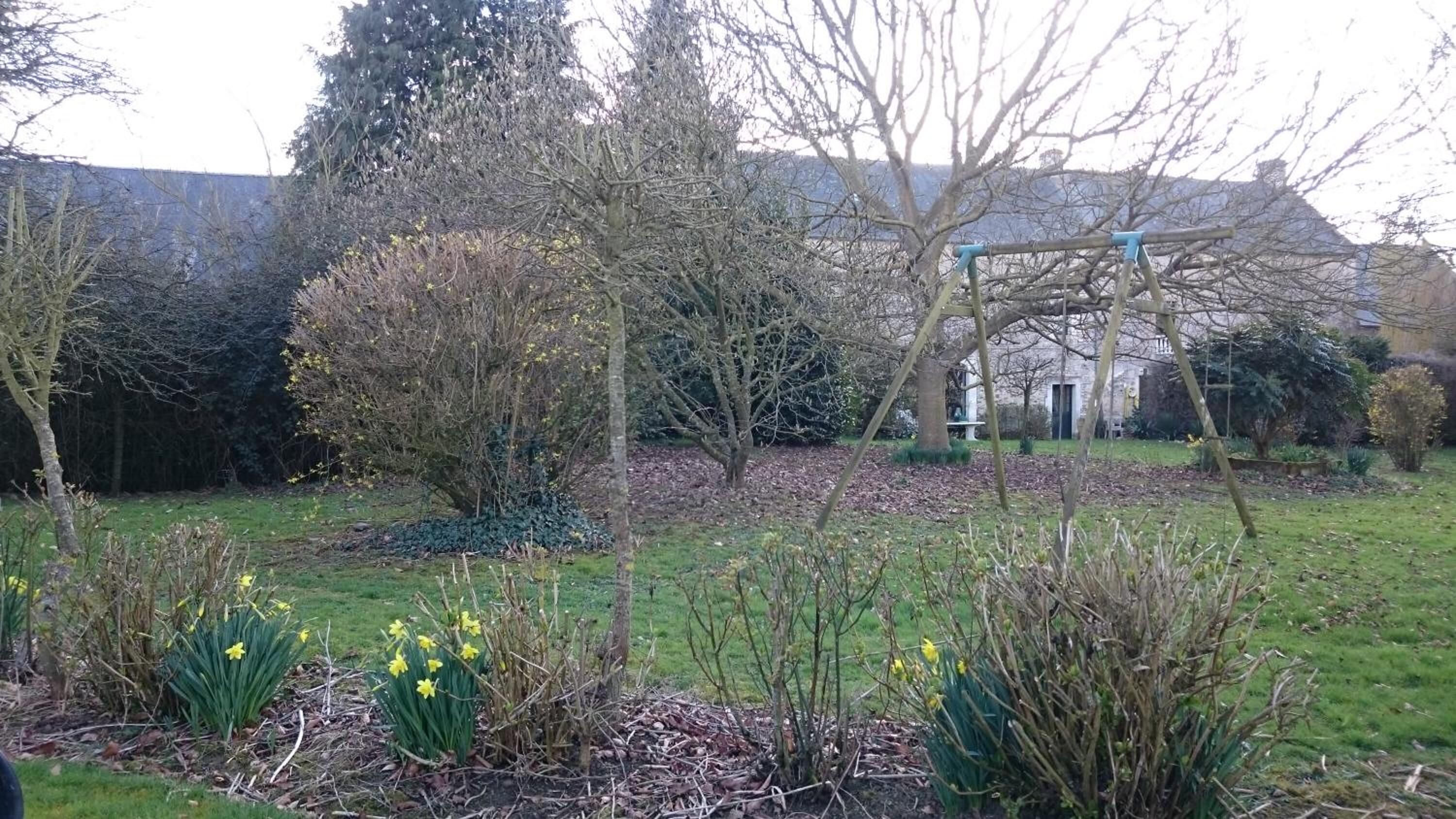 A garden with daffodils, a swing set, and a building in the background.