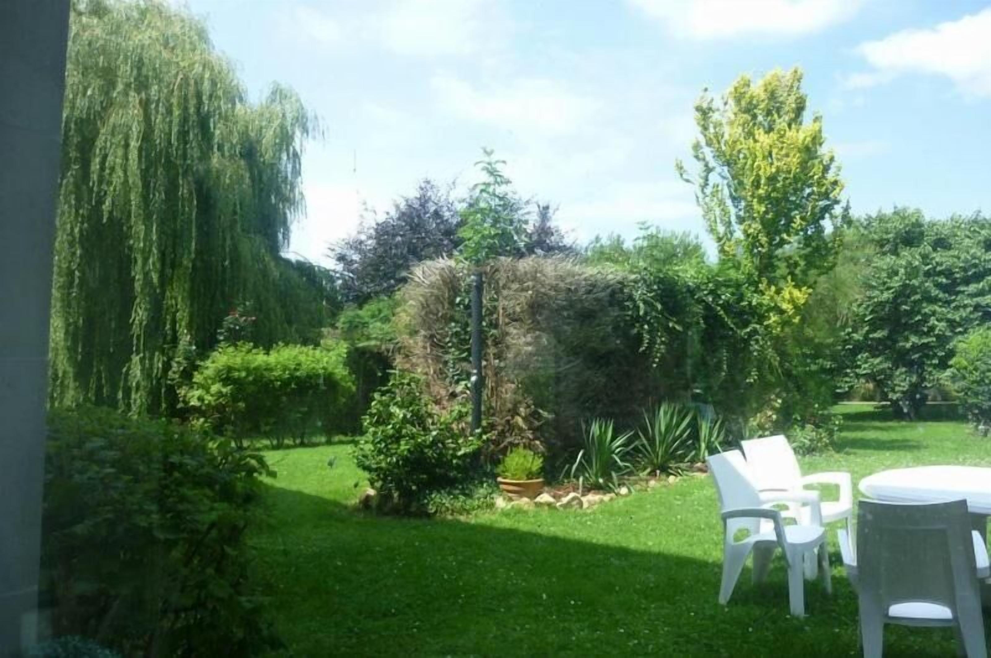 A garden with a table and chairs, surrounded by various plants and trees.