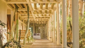 A wooden walkway under a pergola with columns, surrounded by cacti and plants. - Posada Azul Marino (José Ignacio)