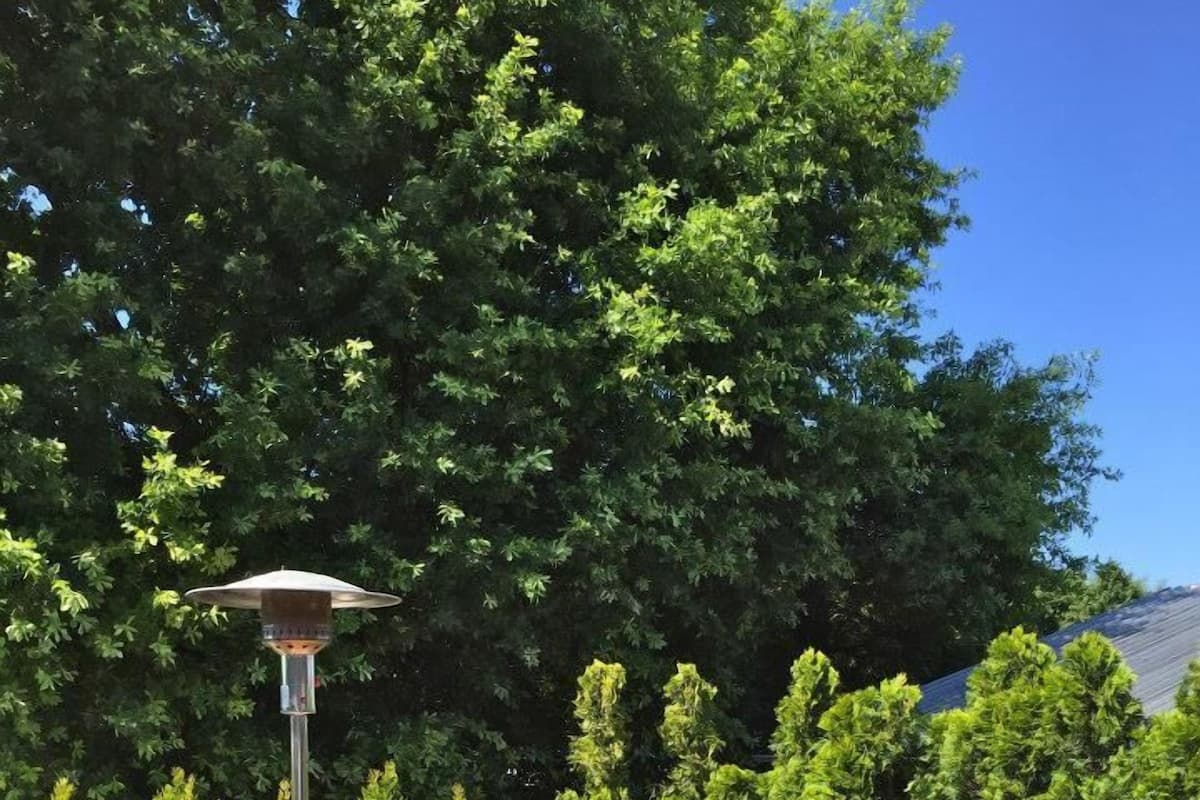 Comfort tweepersoonskamer, terras | Terras