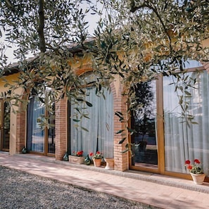 Ein Gebäude mit großen Fenstern, einer Ziegel-Fassade und einer Pergola mit Olivenzweigen.