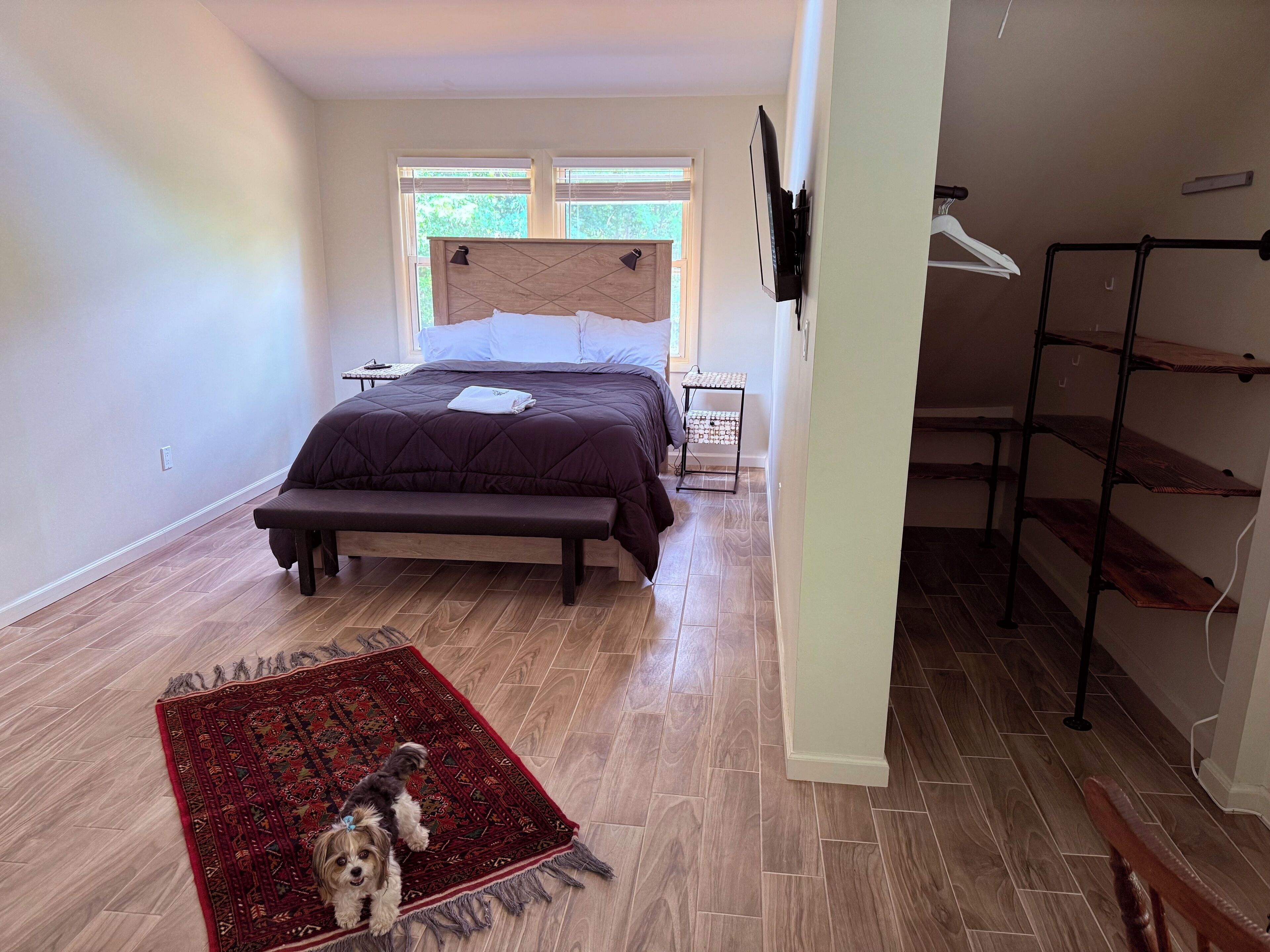 A bedroom with a bed, a bench, a rug, a dog, and a TV on the wall.