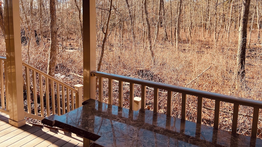 Swan Lake Resort Rentals