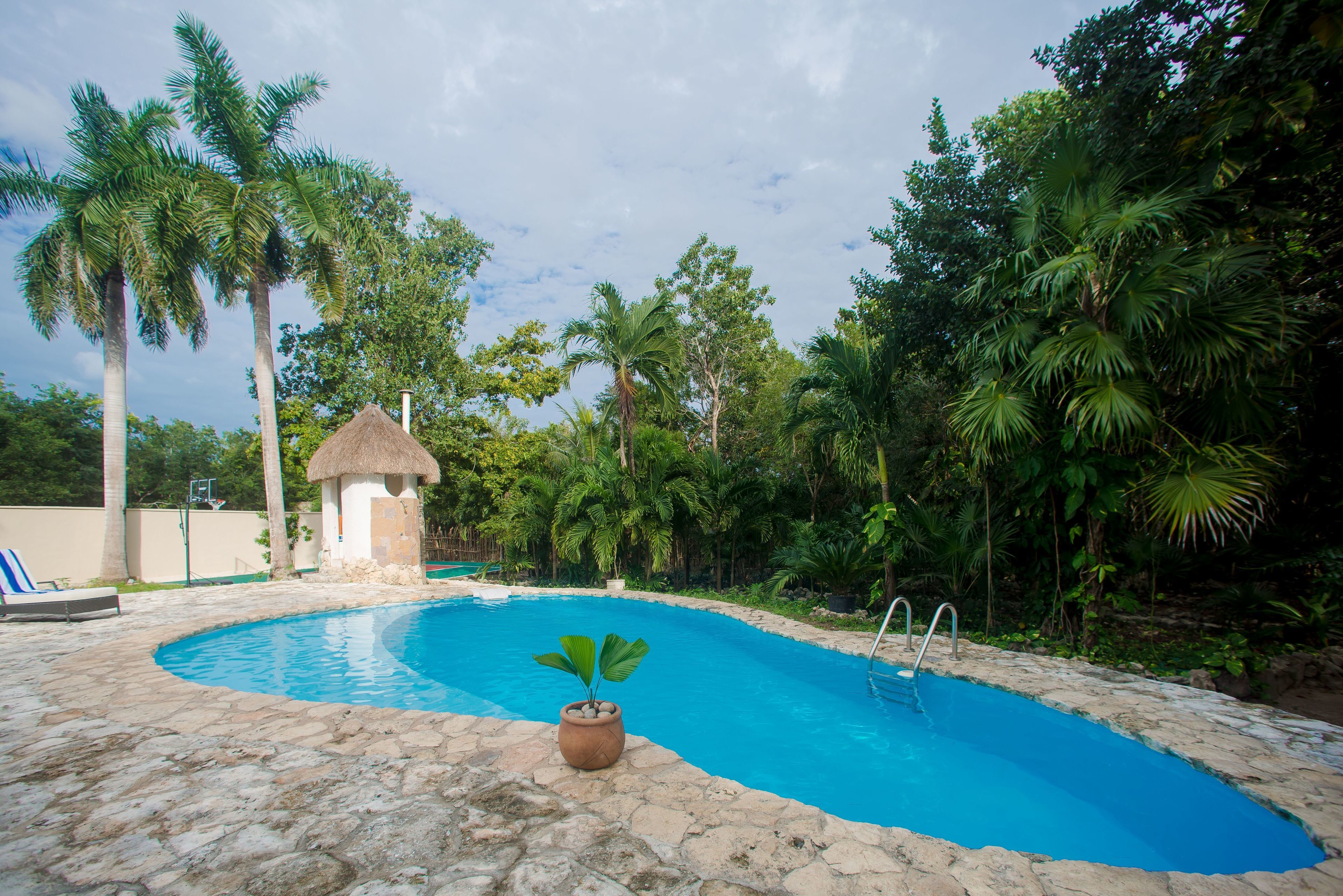 Alberca al aire libre y camastros 