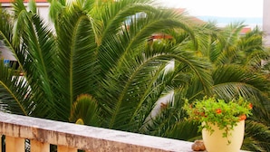 A balcony with a railing, lush green palm trees, and a potted plant with red flowers. - Apartments Dany (Makarska)