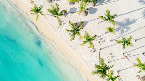 An aerial view of a beach with white sand, turquoise water, and palm trees. - Secrets La Romana Resort & Spa  - Adults Only - All Inclusive (San Rafael del Yuma)