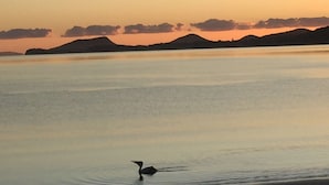 Roligt vand med en fugl i forgrunden og et bjerglandskab i baggrunden.