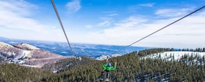 Snow and ski sports - 3 Bears Cottage | Cottage in the Pines! (Ruidoso)