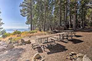A picnic area with benches and tables, surrounded by tall trees and a view of the water.