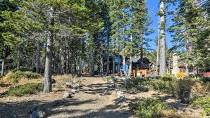 A forested area with a dirt path leading to a lodge.