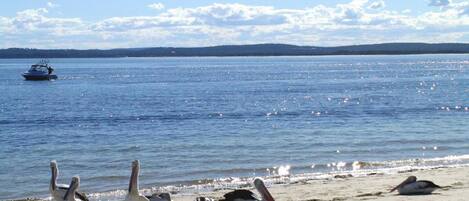 Beach nearby