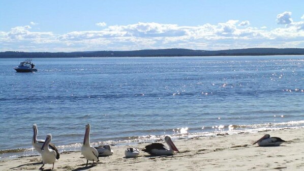 Beach nearby