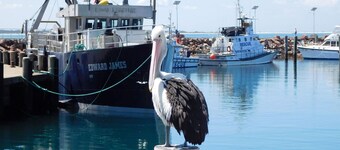 The Point, 5, 5-7 Mitchell Street large balcony with great water views