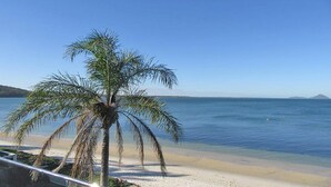 Ein Strand mit einer Palme und klarem, blauem Wasser.