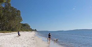 A beach with people walking dogs, clear skies, and calm water.