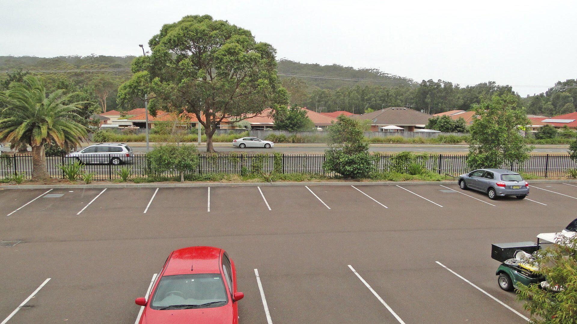 A parking lot with several cars, a red car in the foreground, and a tree in the background.