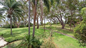 A lush park with a variety of trees, a well-maintained lawn, and a clear path.