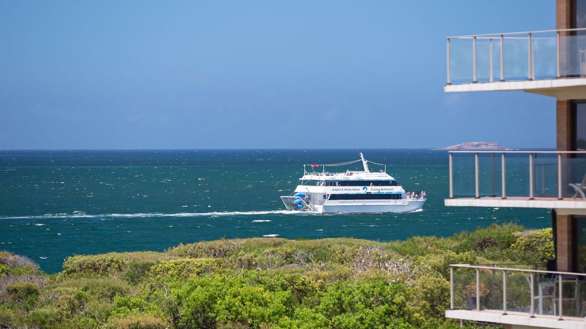 Un navire de croisière appelé « Dolphin & Whale Watch », doté d’un espace de restauration et où l’on peut apercevoir les passagers.