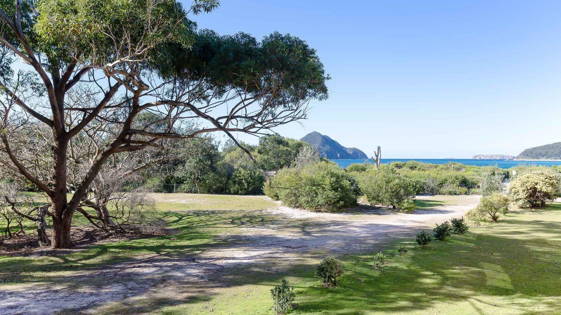 Eine Küstenlandschaft mit einem markanten Baum, einem Feldweg und Blick auf das Meer und ferne Berge.